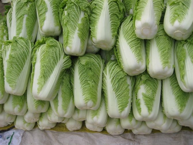 大白菜冷庫安裝好后儲藏需要做好哪些準備工作？