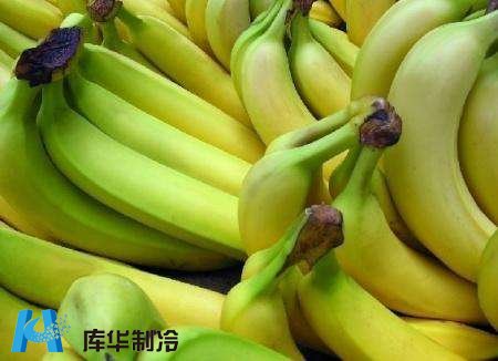 杭州地區安裝10噸香蕉保鮮冷庫工程推薦